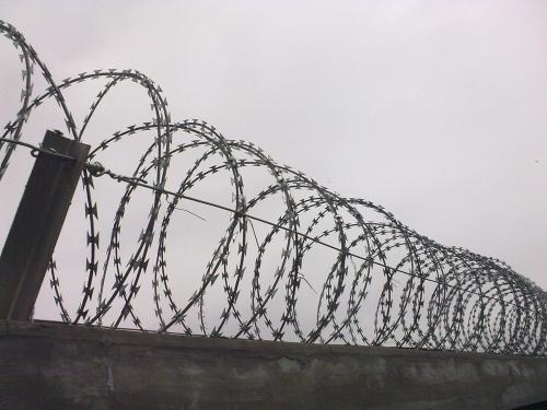 咸阳秦都区围墙滚刺